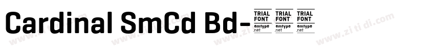 Cardinal SmCd Bd字体转换